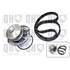 1 kit de distribution + 1 pompe à eau Quinton Hazell QBPK9079