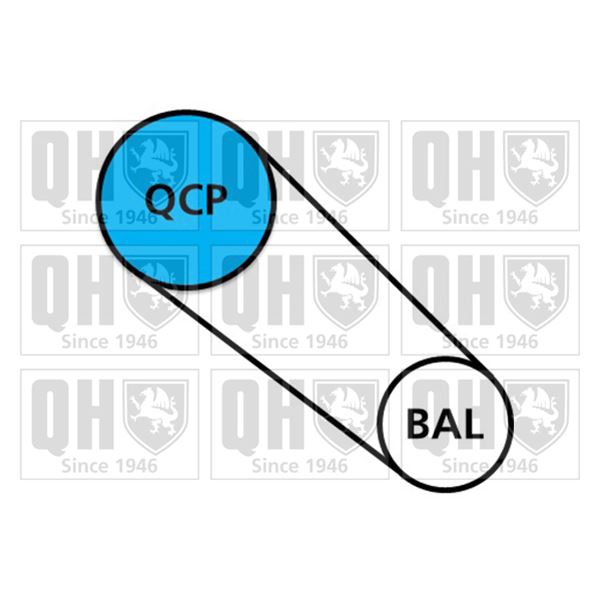 1 kit de distribution + 1 pompe à eau Quinton Hazell QBPK9102