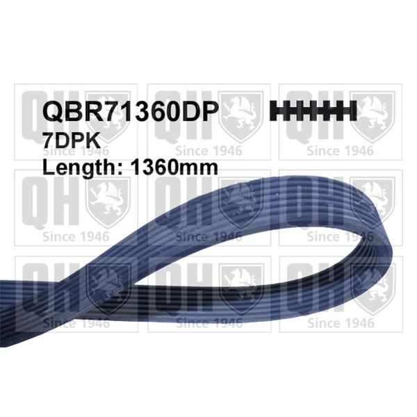 1 courroie d'entrainement Quinton Hazell QBR71360DP
