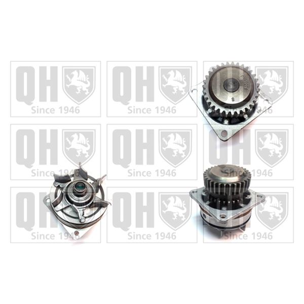 1 pompe à eau Quinton Hazell QCP3689
