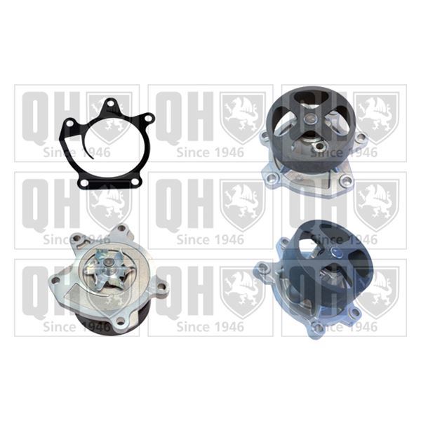 1 pompe à eau Quinton Hazell QCP3801