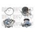1 pompe à eau Quinton Hazell QCP3820