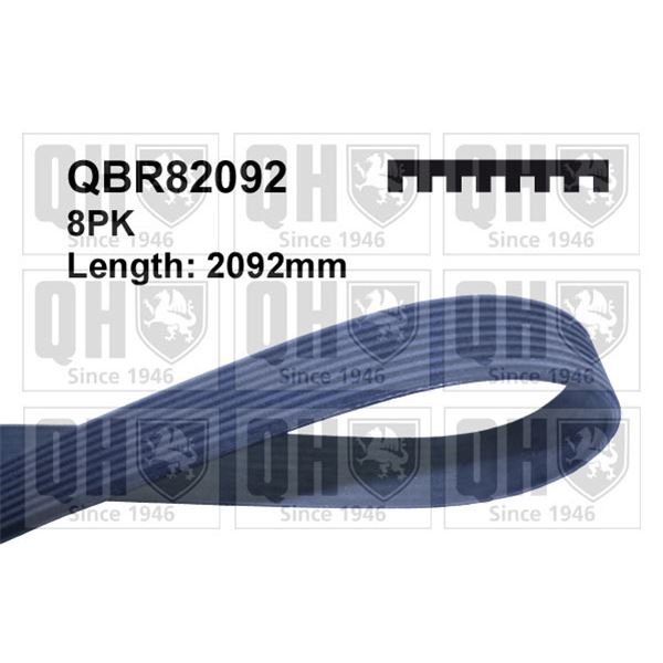 1 courroie d'entrainement Quinton Hazell QBR82092