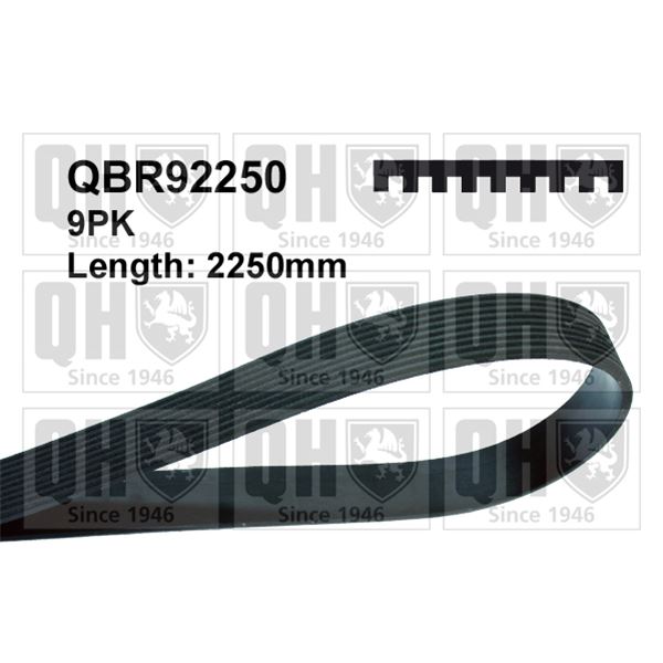 1 courroie d'entrainement Quinton Hazell QBR92250