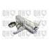 1 galet de distribution Quinton Hazell QTT1121