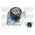 1 galet de distribution Quinton Hazell QTT1230
