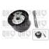 1 galet de distribution Quinton Hazell QTT977