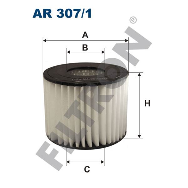 Filtre à air Filtron AR307/1