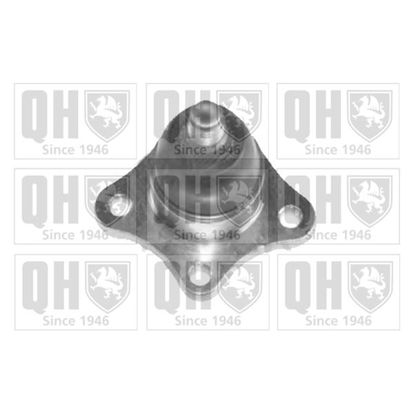 1 rotule de suspension Quinton Hazell QSJ3513S