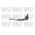 1 rotule de direction droite Quinton Hazell QR3644S