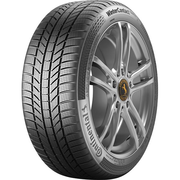 Pneu Hiver Continental WinterContact TS 870 P