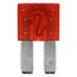 5 fusibles plats Micro II 10 ampères Restagraf