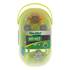 Coffret d'ampoules H1/H7 Feu Vert
