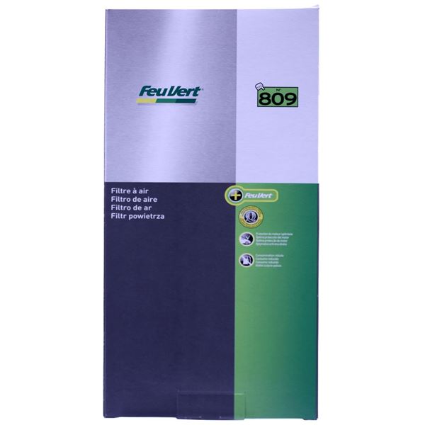 Filtre à air Feu Vert N° 809