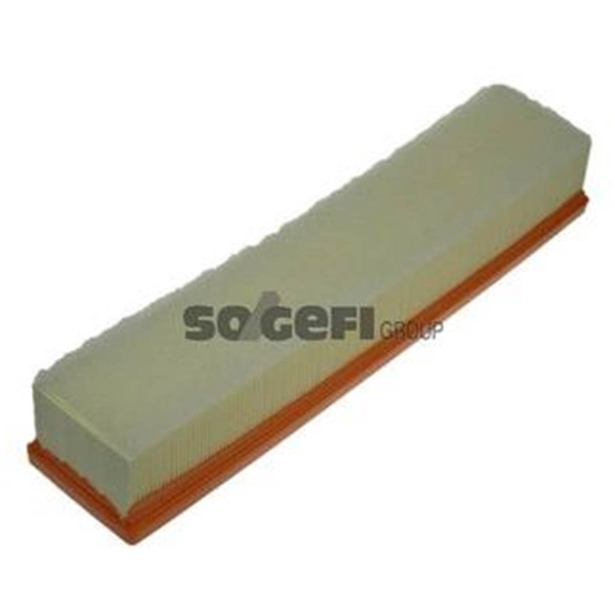 Filtre A Air A1229 Purflux