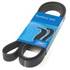 1 courroie d'entrainement SKF VKMV6PK1705
