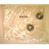 Kit de protection pour 2 amortisseurs avant Monroe AK228