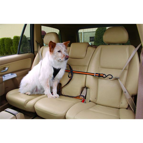 Câble d'attache chien pour voiture Zip Line KURGO - Feu Vert