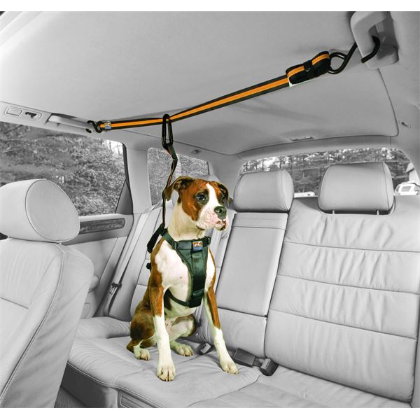 Attache ceinture sécurité pour chien voiture Orange/ Noir KURGO - Feu Vert