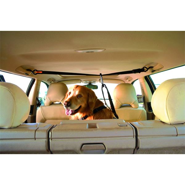 Transport en auto des chiens et chats - Transport animaux - Feu Vert