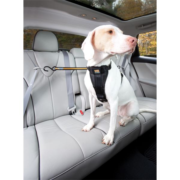 Attache chien voiture de sécurité Zip Line Kurgo – Animal Valley