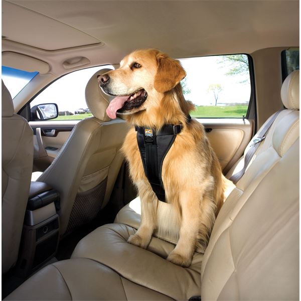 Harnais de sécurité pour chien en voiture l Harnais auto chien