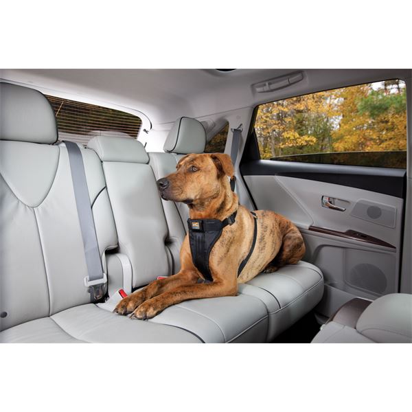 Harnais de sécurité pour chien voiture et marche Tru-Fit Smart KURGO taille L