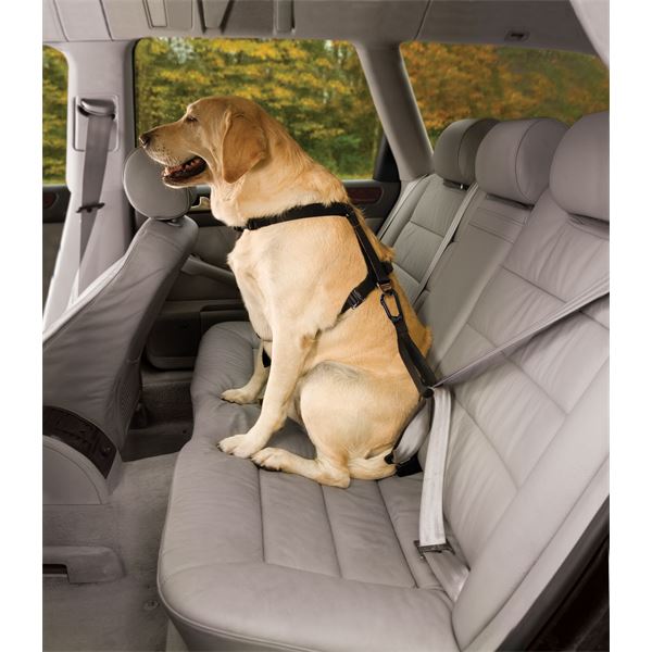 Harnais de sécurité pour chien voiture et marche Tru-Fit Smart KURGO taille L