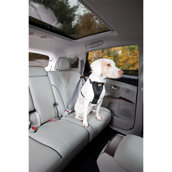 Harnais de sécurité pour chien voiture et marche Tru-Fit Smart KURGO taille L