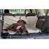 Housse de protection chien coffre noire KURGO