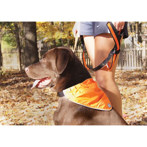 Bandana réfléchissant sécuritaire pour chien taille L-XL KURGO
