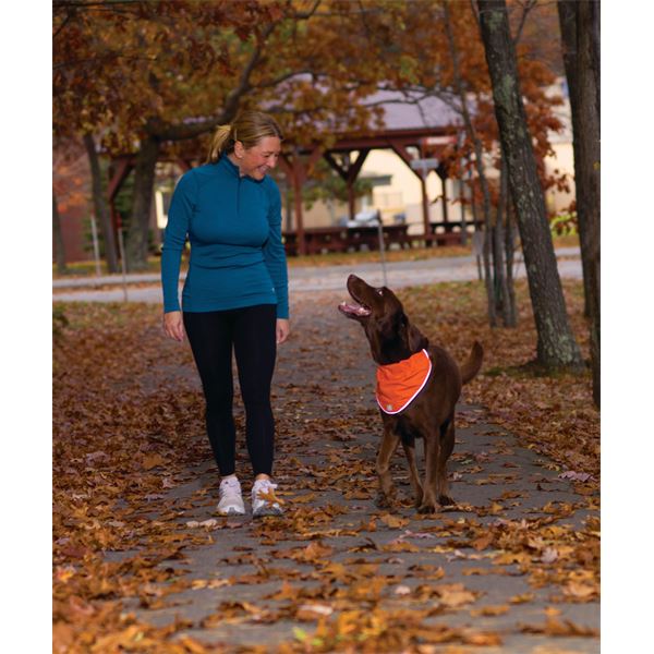 Bandana réfléchissant sécuritaire pour chien taille L-XL KURGO