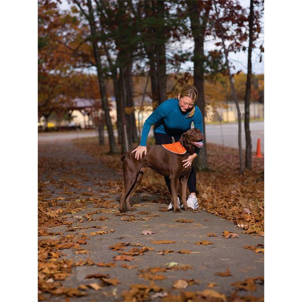 Bandana réfléchissant sécuritaire pour chien taille L-XL KURGO