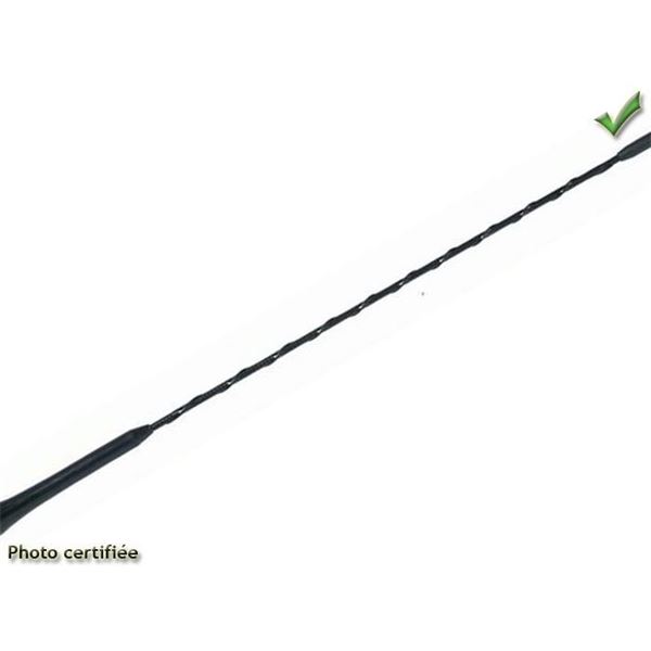 Brin d'antenne 20 cm