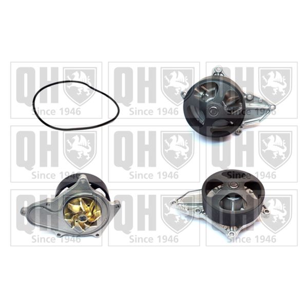 1 pompe à eau Quinton Hazell QCP3843