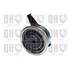 1 galet de distribution Quinton Hazell QTT1309