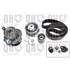 1 kit de distribution + 1 pompe à eau Quinton Hazell QBPK6254