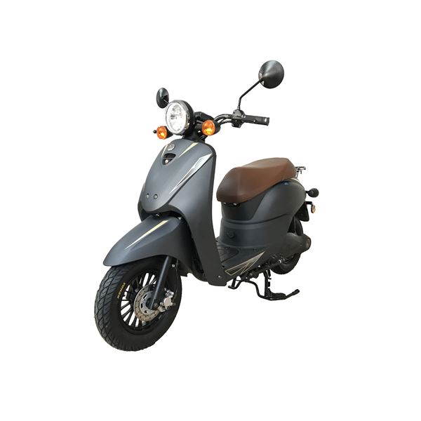Scooter électrique WavE 2000W 48V/ 30Ah gris foncé mat Eurocka