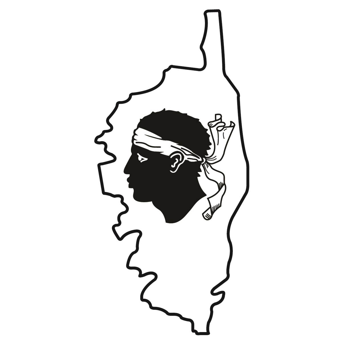 Decor Resine 3d Corse