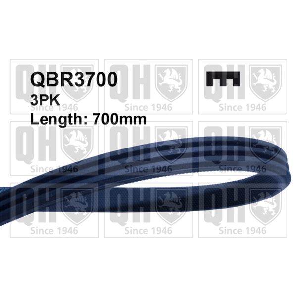 1 courroie d'entrainement Quinton Hazell QBR3700