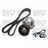 1 kit d'entrainement Quinton Hazell QDK91