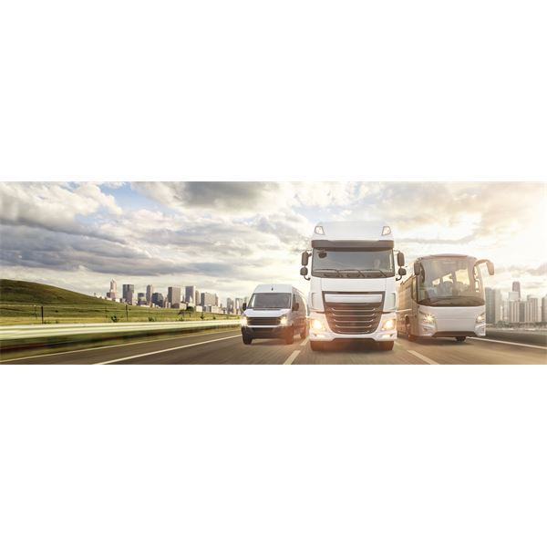 GPS POIDS LOURD TOMTOM GO PROFESSIONAL 520