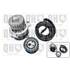 1 kit de distribution + 1 pompe à eau Quinton Hazell QBPK8500