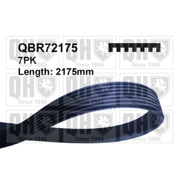 1 courroie d'entrainement Quinton Hazell QBR72175