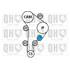 1 kit de distribution + 1 pompe à eau Quinton Hazell QBPK2692