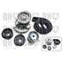 1 kit de distribution + 1 pompe à eau Quinton Hazell QBPK7300