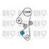 1 kit de distribution + 1 pompe à eau Quinton Hazell QBPK8950