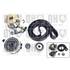 1 kit de distribution + 1 pompe à eau Quinton Hazell QBPK8980