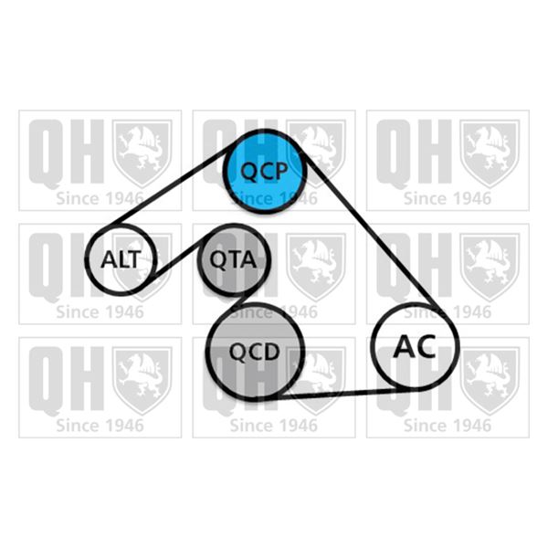 1 kit d'entrainement Quiton Hazell QDK124