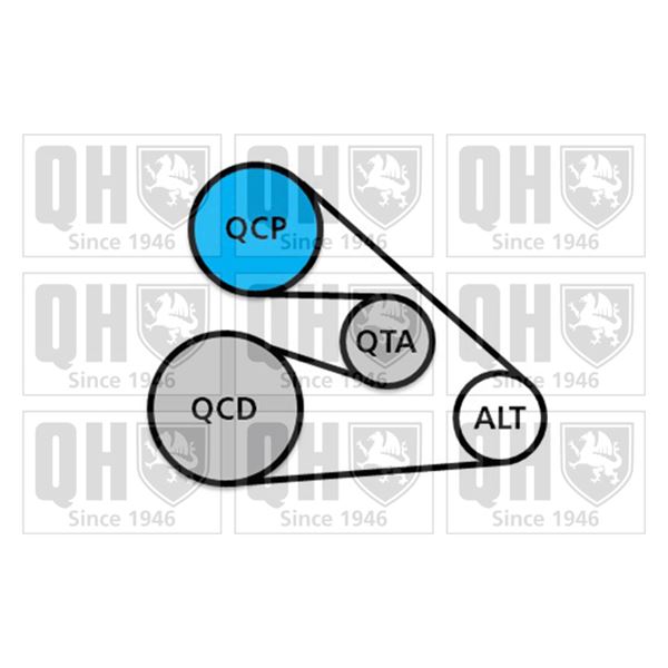 1 kit d'entrainement Quiton Hazell QDK142
